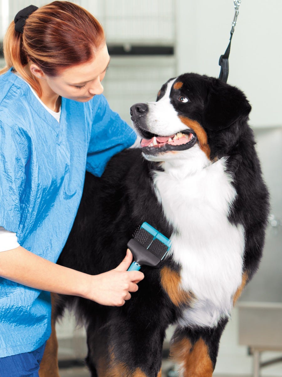 The Pet Stylist Relief Fund is a lifeline for groomers facing the unimaginable.