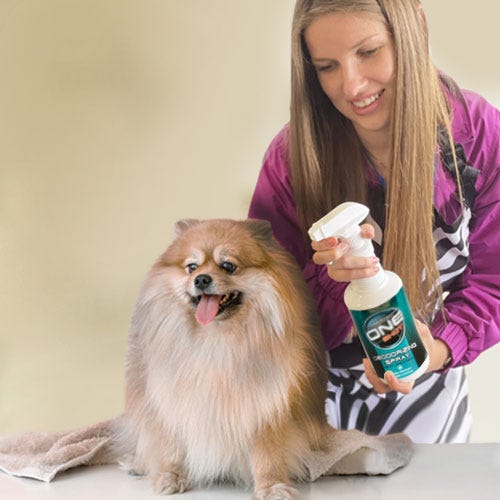 Silicone in Pet Care Products