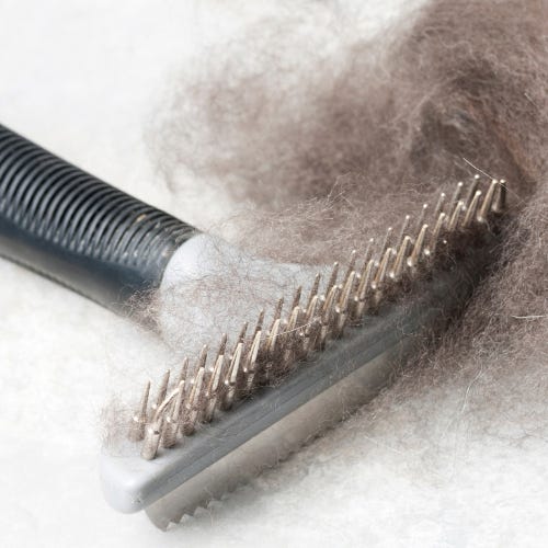 The Deshedding Controversy: Should You Charge Extra?