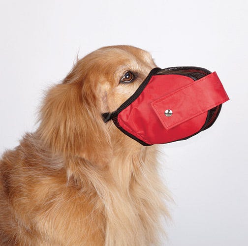 Bite Prevention