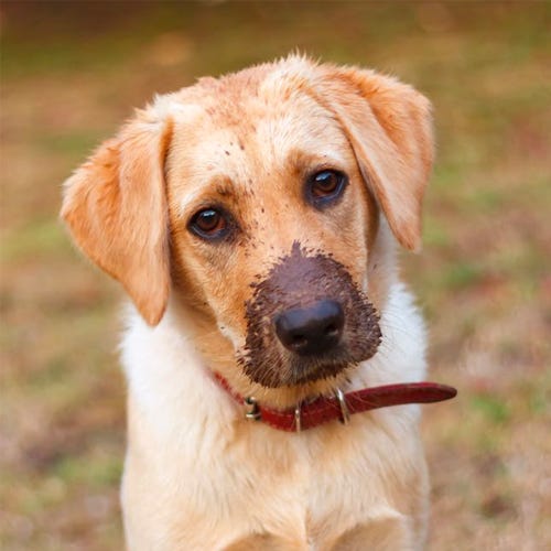 Yuck Buster Bathing Tips