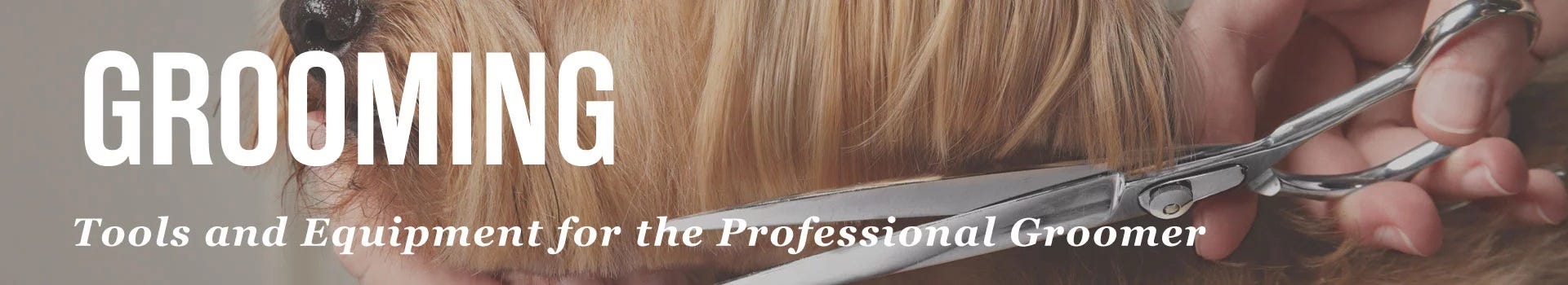 Dog Grooming Dog Grooming