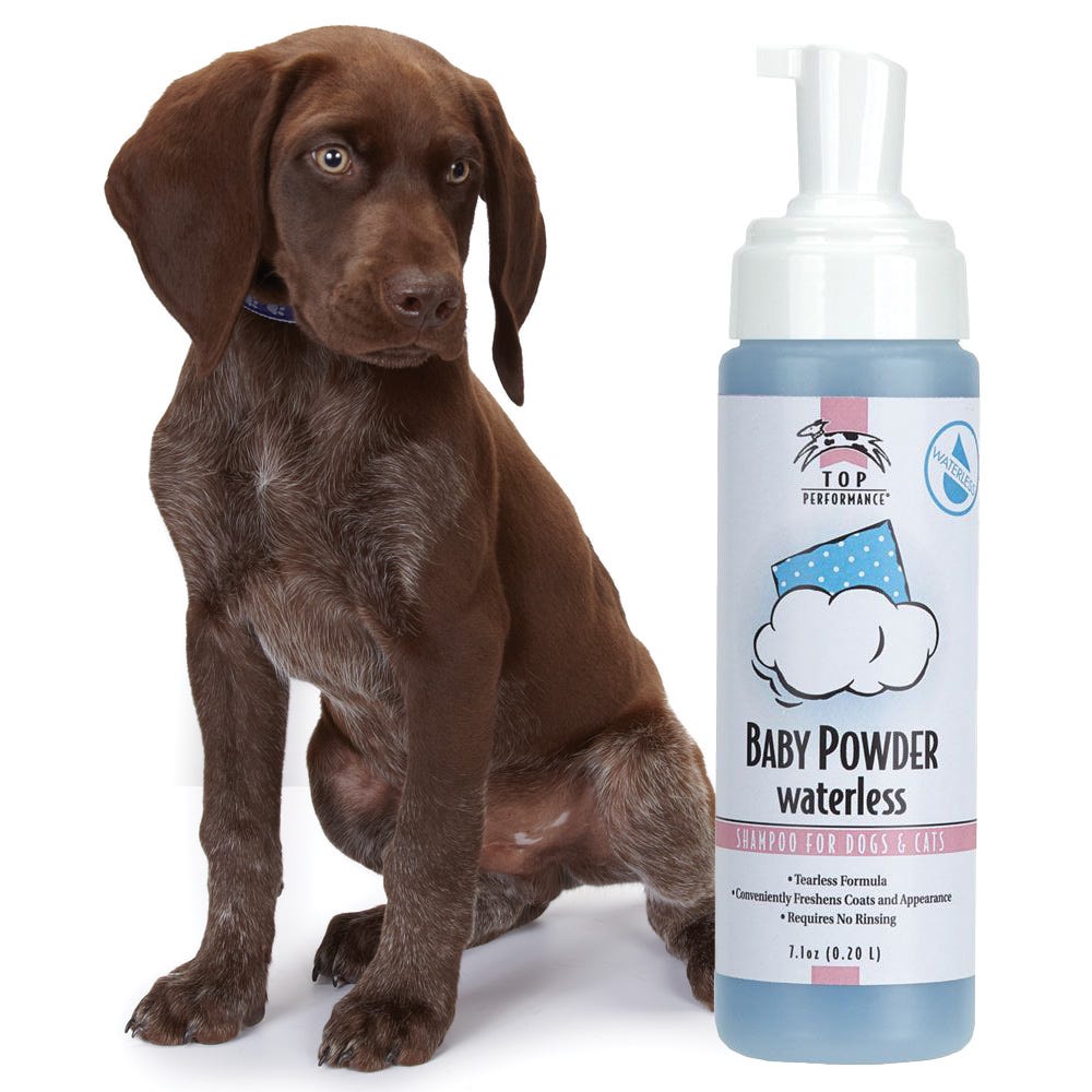 Puppy Shampoo & Grooming