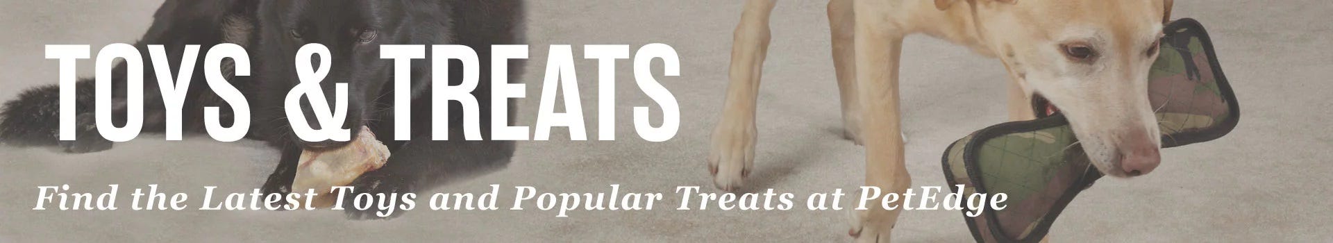 Dog Toys & Treats Dog Toys & Treats