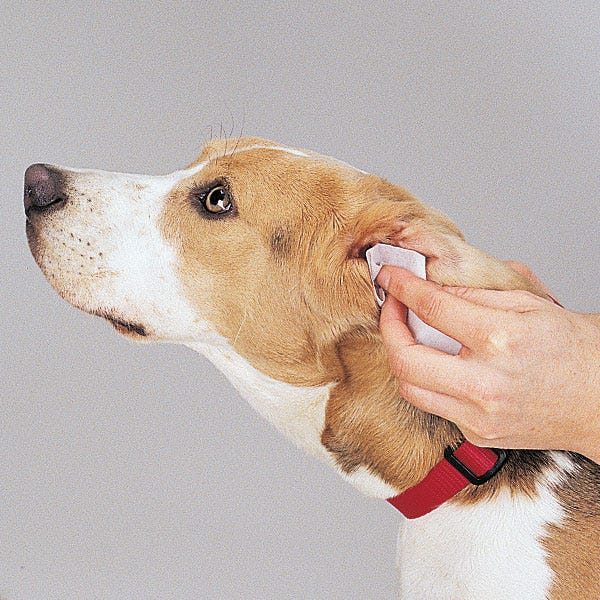 Dog Ear Cleaner