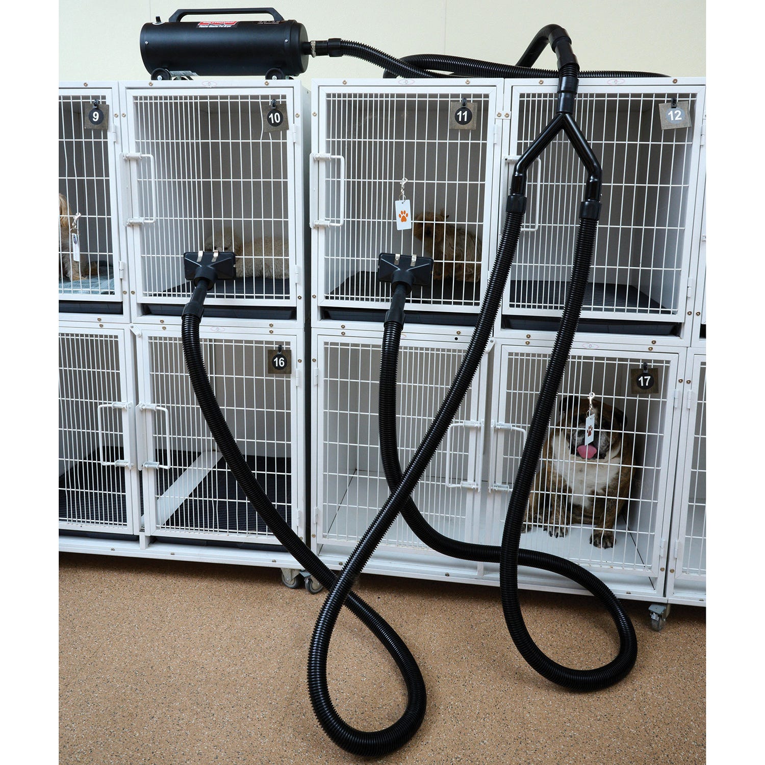 Metro dog dryer clearance