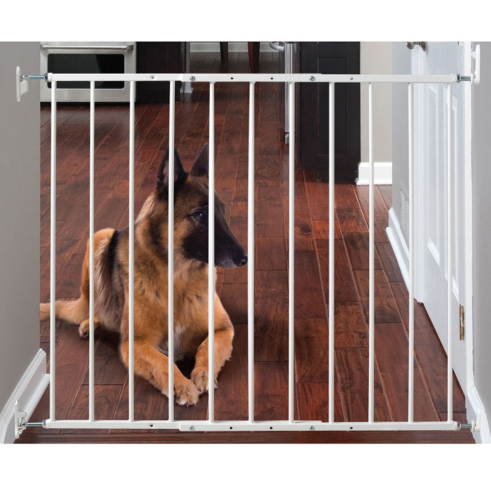 Safeway wall mounted pet gate clearance