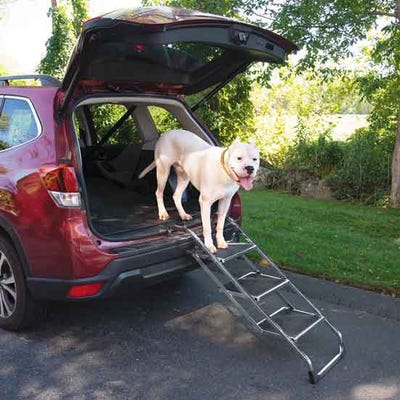 Dog Travel Products