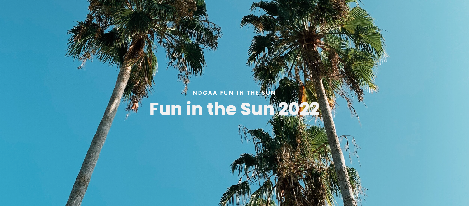 Fun in the Sun 2022