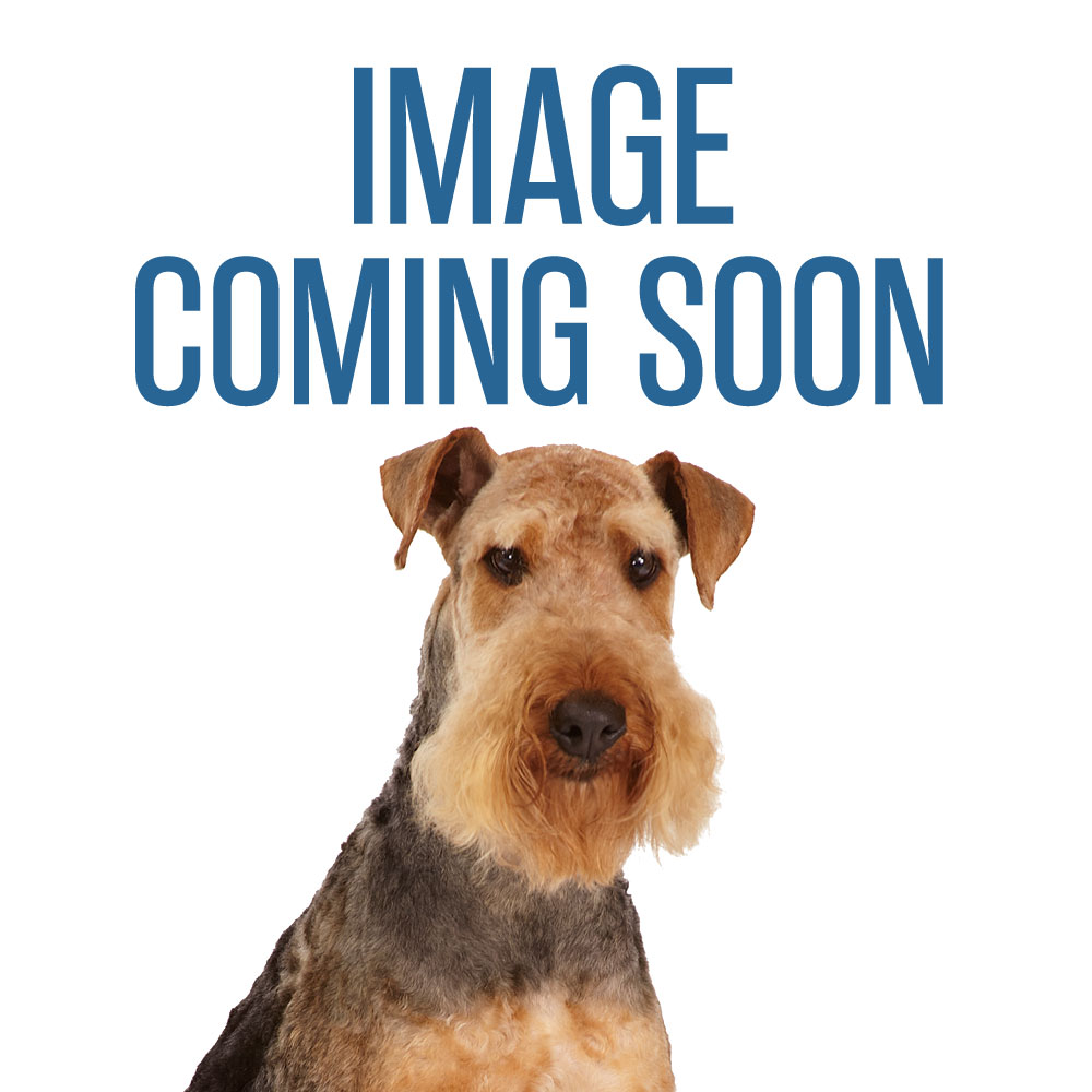 New pet product specials and free offers