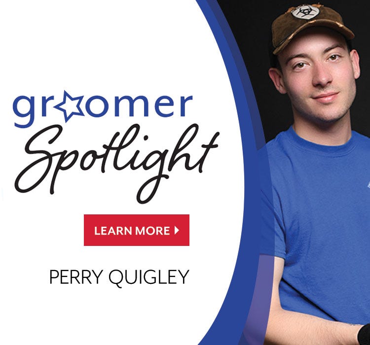 Groomer Spotlight Perry