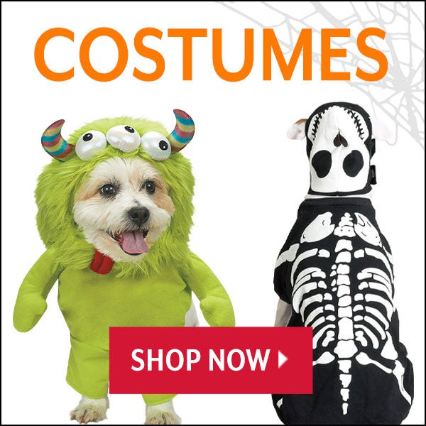 Dog Costumes
