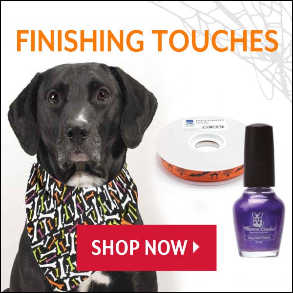 Halloween Finishing Touches Sale