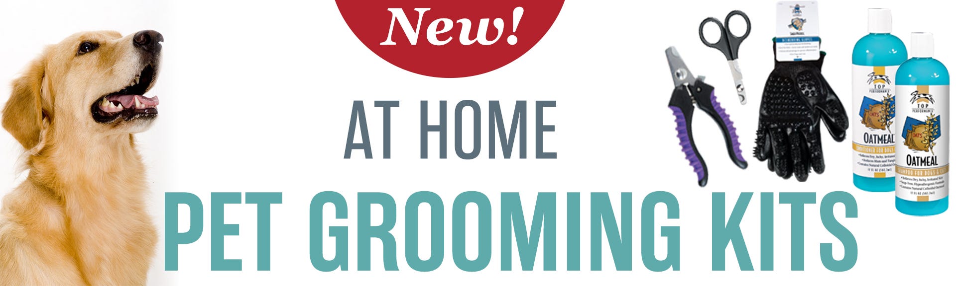 what products do groomers use on dogs